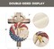 colorlife Patriotic Eagle Wreath Garden Flag 12x18, Double‑Sided Stars and Stripes Outdoor Flag for 4th of July, Memorial Day & Yard Decorations